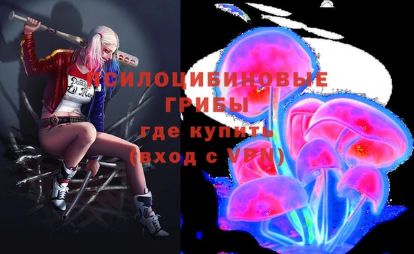 таблы Березники