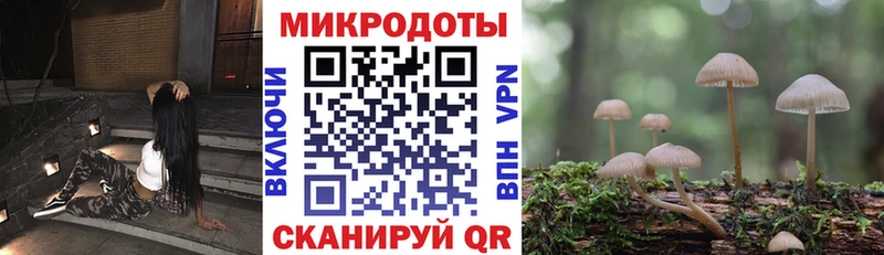 MEGA онион  Боровичи  Галлюциногенные грибы Magic Shrooms  закладки 
