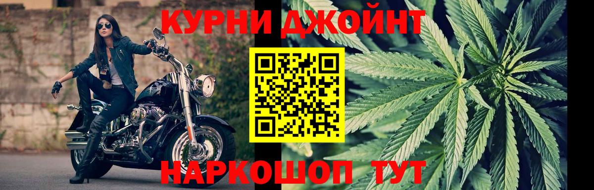 МАРИХУАНА планчик  Марихуана сатива  Вход с VPN  Боровичи  Бошки Шишки гибрид 